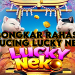 Rahasia Maxwin dari Pemain Berpengalaman
